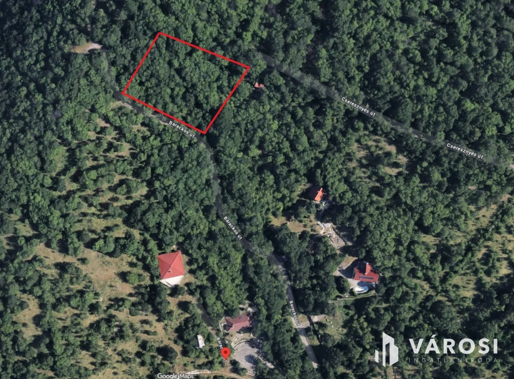 c3-1-name c2-50-name, Szentendre