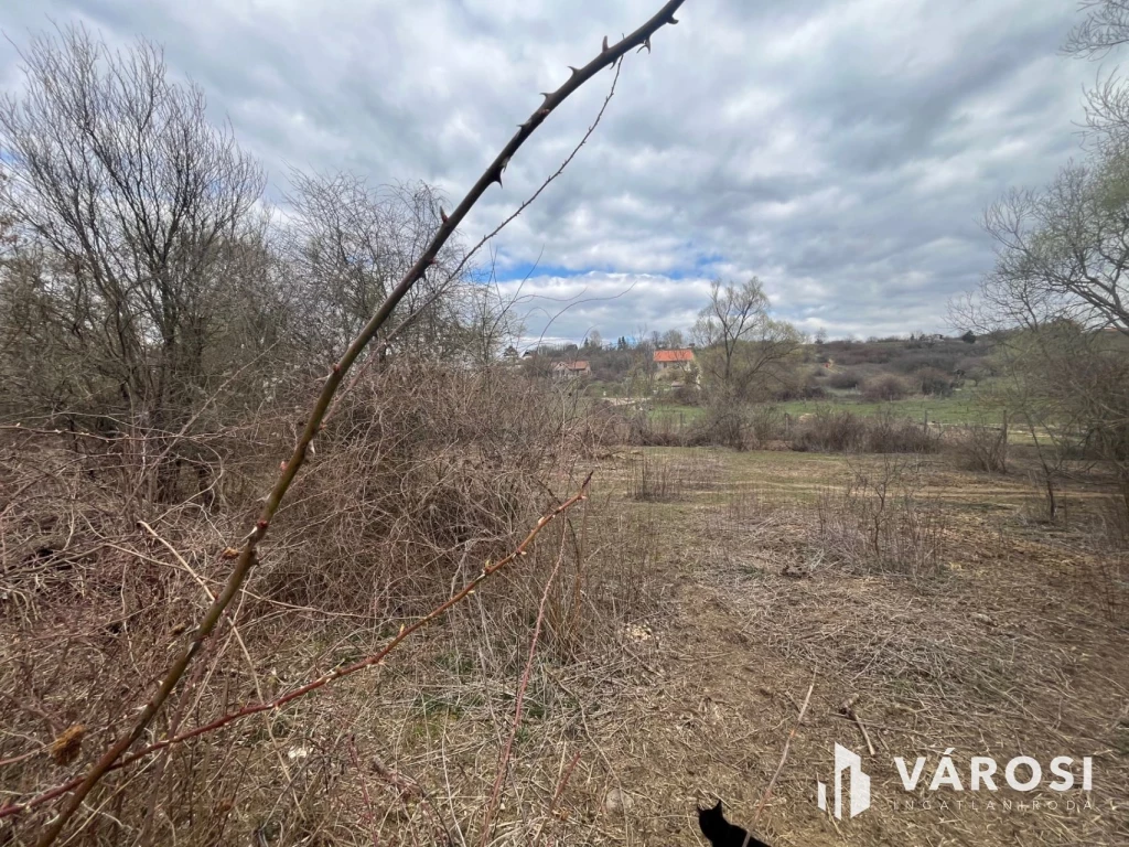 c3-1-name c2-50-name, Budakalász