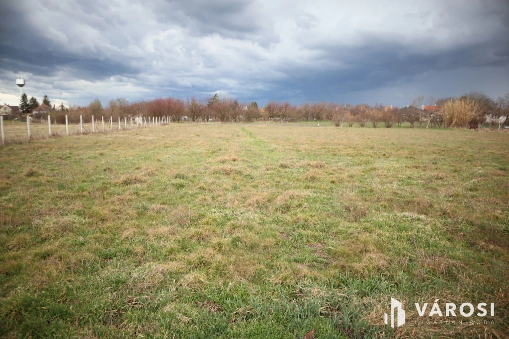 c3-1-name c2-50-name, Deszk