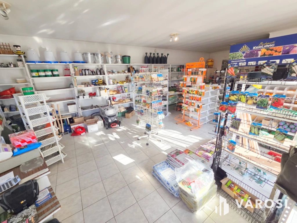 For sale house, Ráckeve