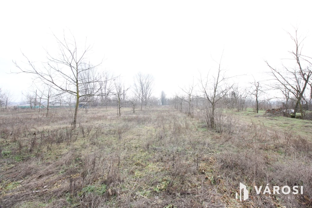 Szeretne passzív jövedelmet dióból?