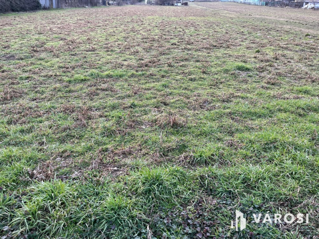 Debrecen Bicó-István Kertben Eladó Telek!