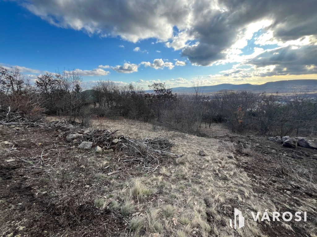 c3-1-name c2-50-name, Szentendre