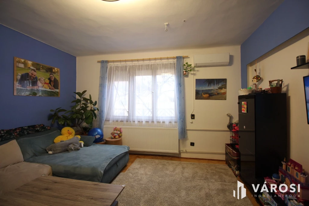 c3-1-name c2-19-name, Kistelek