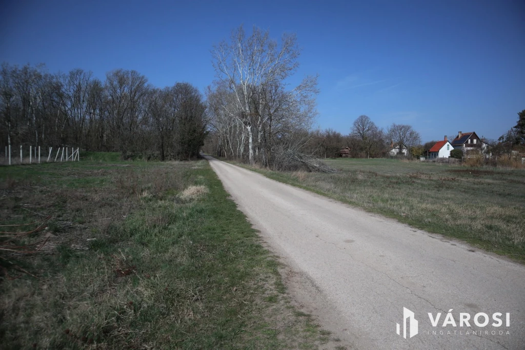 c3-1-name c2-50-name, Hódmezővásárhely, Öregkishomok