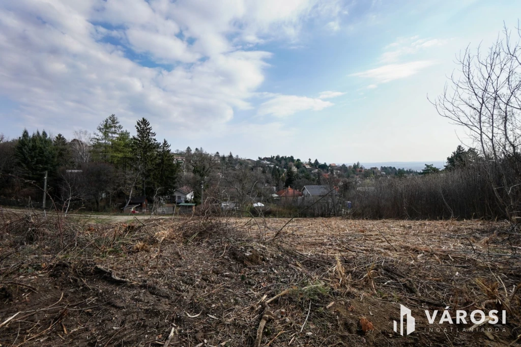 Örökpanorámás telek