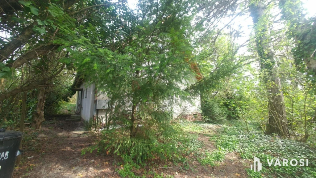 Balatonkenesén jó szerkezetű, felújításra szoruló ház eladó!