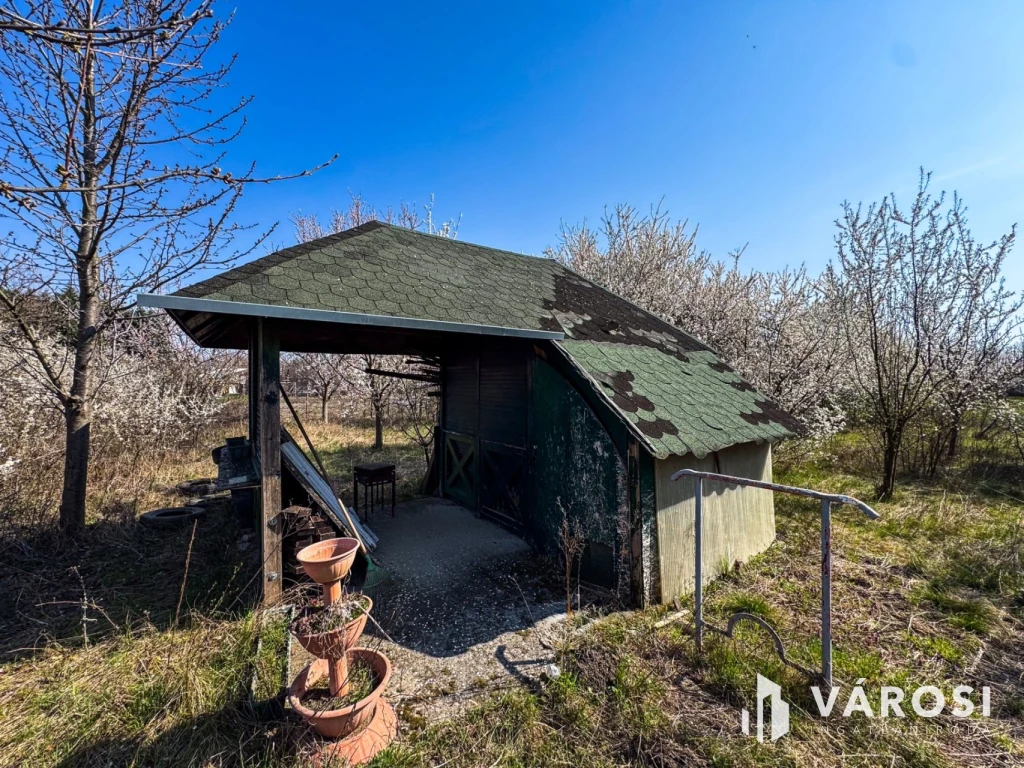 Tágas zártkert termő gyümölcsfákkal a Körös mellett