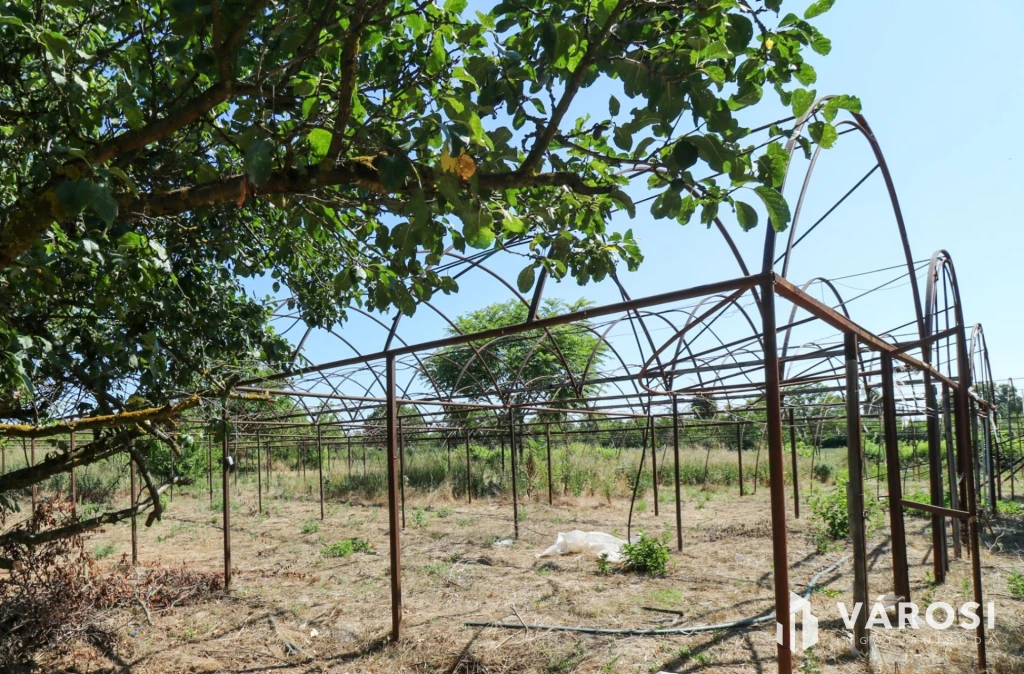 c3-1-name c2-50-name, Gyula, Ajtósfalva