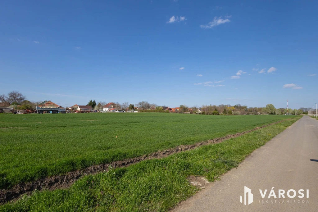 c3-1-name c2-50-name, Deszk, Szőlőskert lakópark