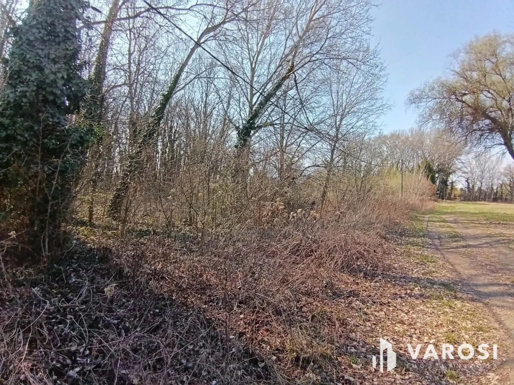 Dömsödön belterületi telek eladó!