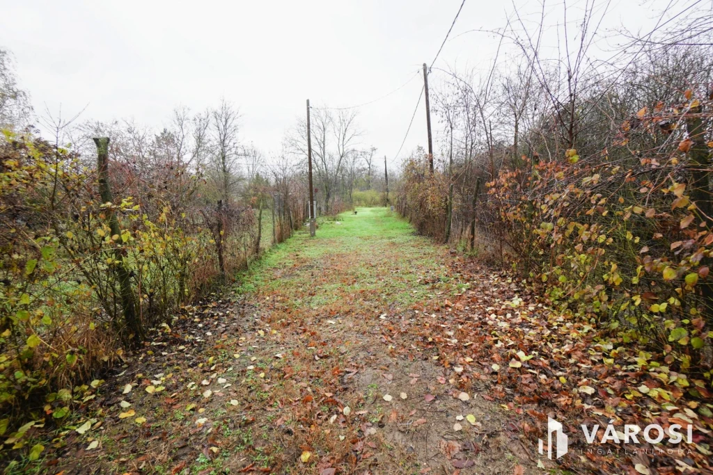 Verőce, a nyugalom szigete!