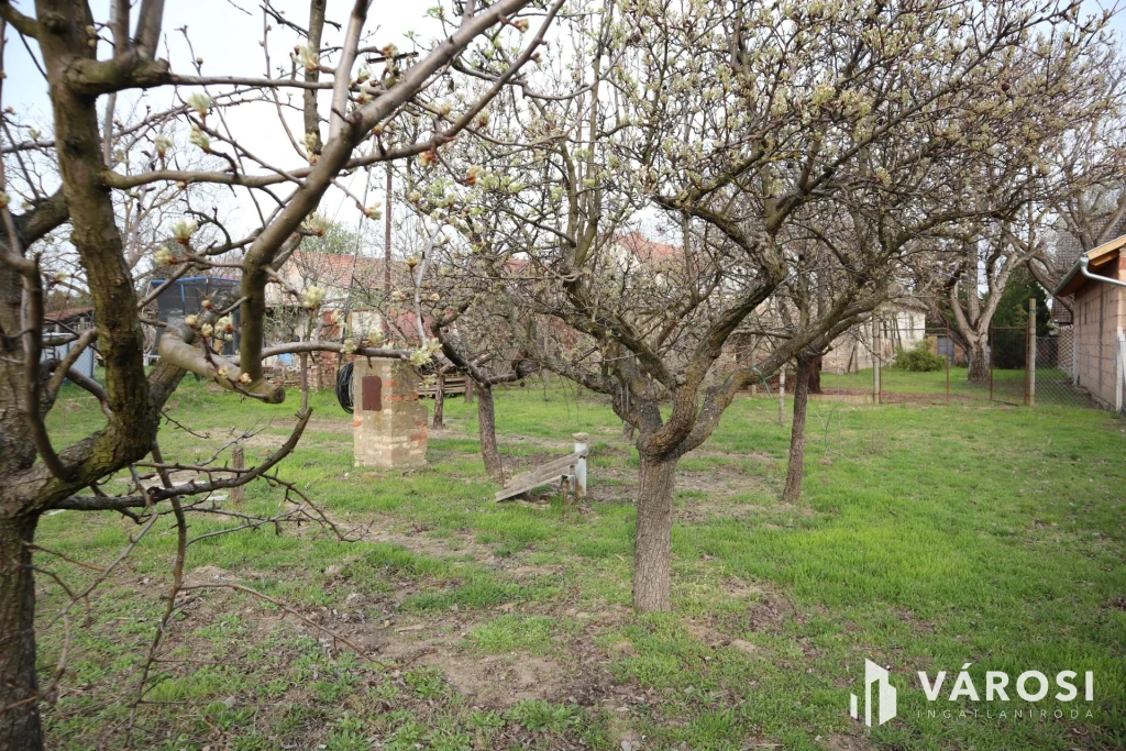 c3-1-name c2-50-name, Szeged, Szőreg