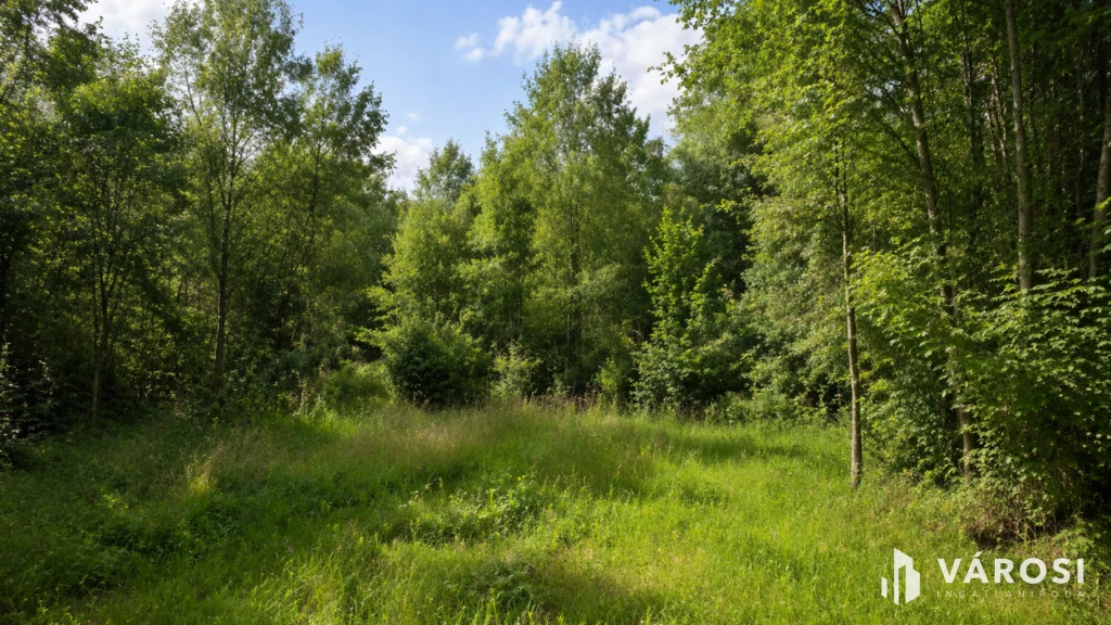 c3-1-name c2-57-name, Debrecen, Biczó István-kert