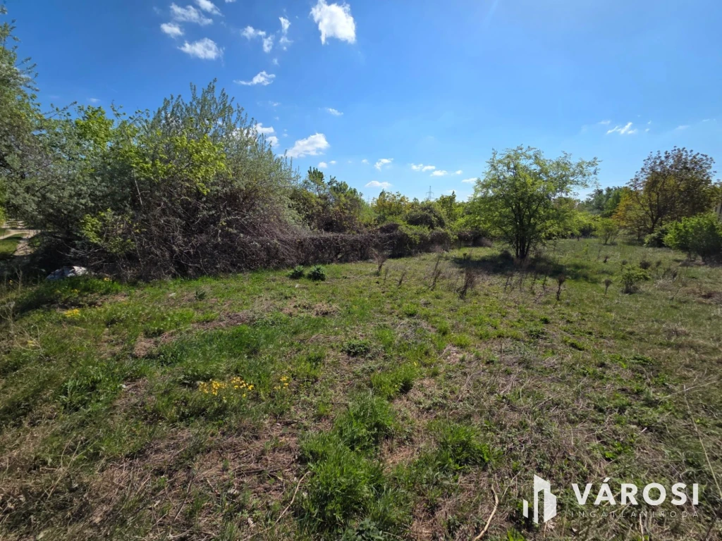 Eladó ipari ingatlan Szigetszentmiklóson