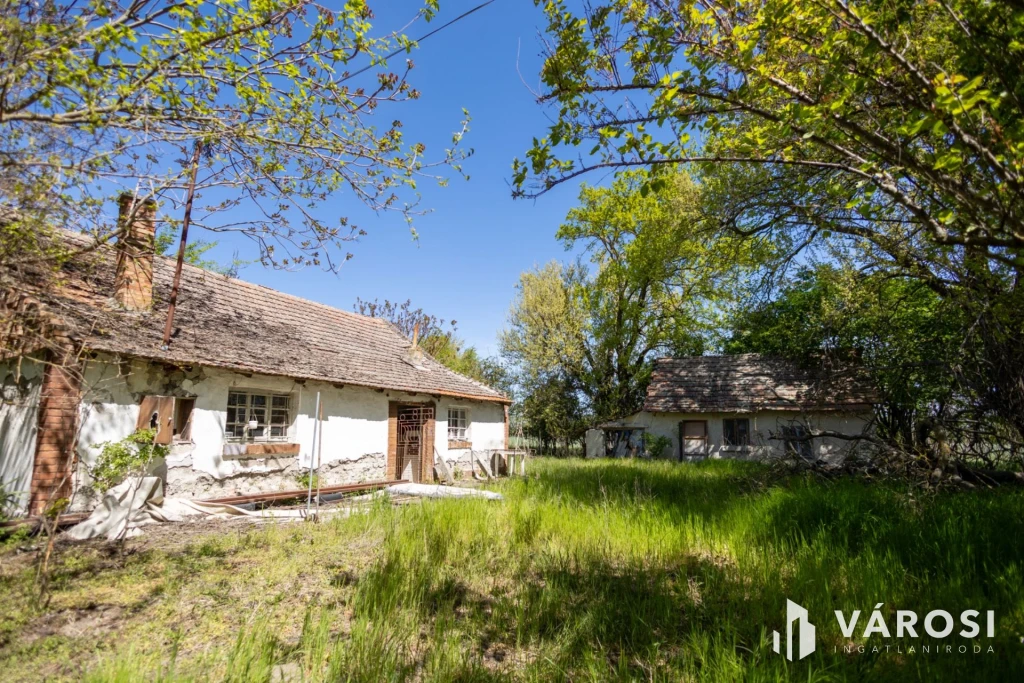 Eperfák árnyékában