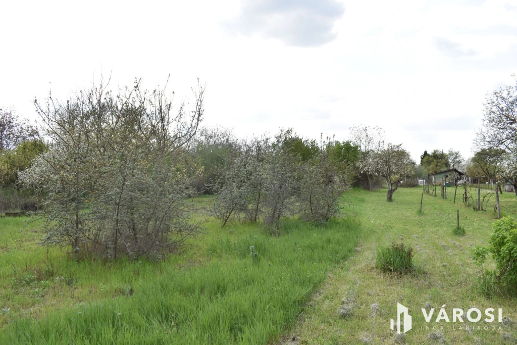 1179 m2 zártkert eladó Gyulán!