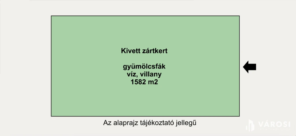 Gyümölcsfáim tetején