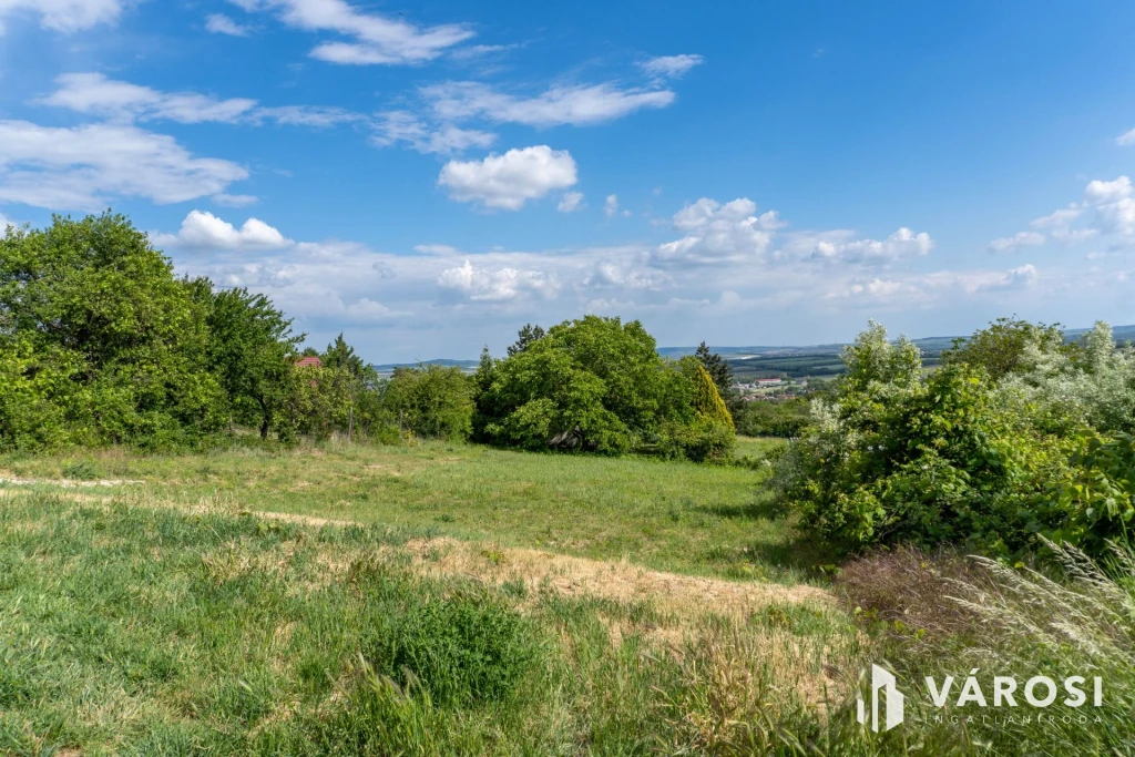 ZSÁMBÉKI PANORÁMÁS ZÁRTKERT