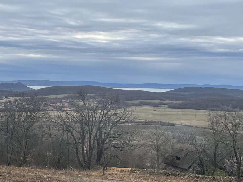 Eladó külterületi telek, Balatonszőlős