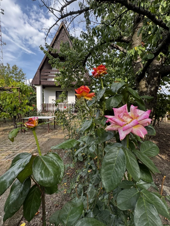 Eladó zártkert, Eger