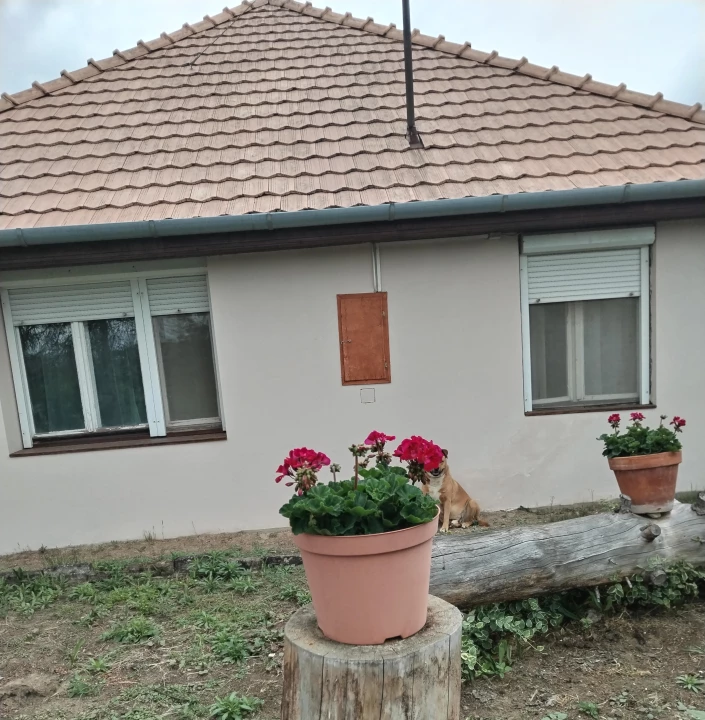 For sale house, Kecskemét