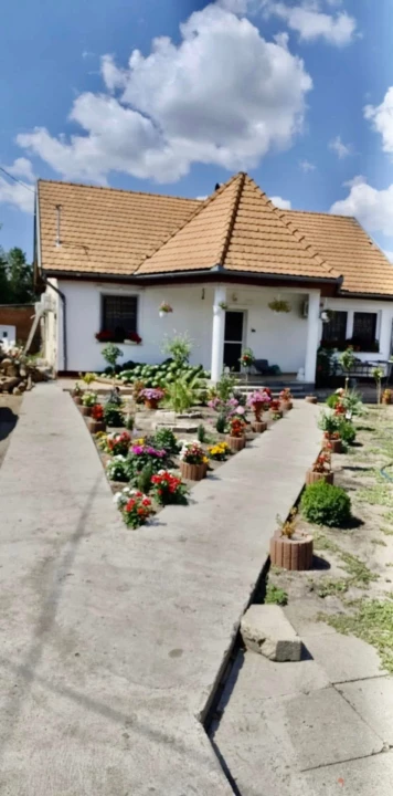 c3-1-name c2-1-name, Örkény