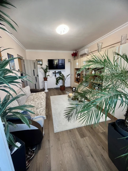 c3-1-name c2-20-name, Tatabánya