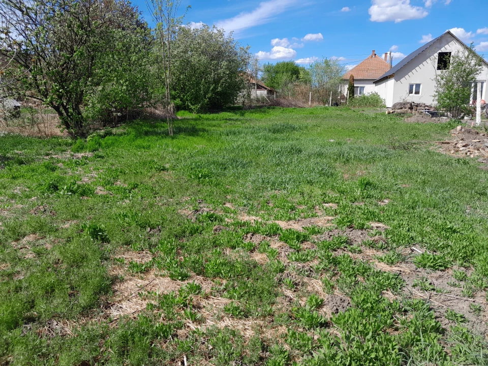 For sale building plot, Püspökladány