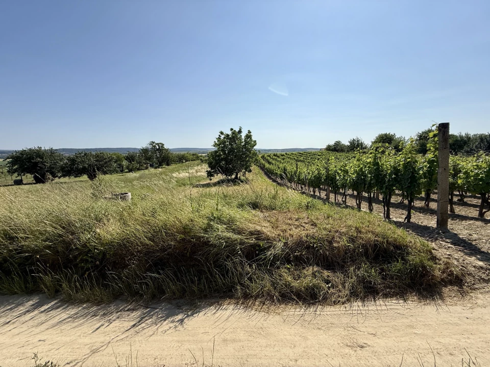 For sale periphery plot, Mór