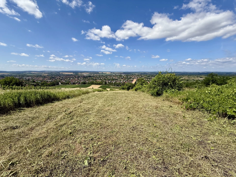 Eladó külterületi telek, Mór