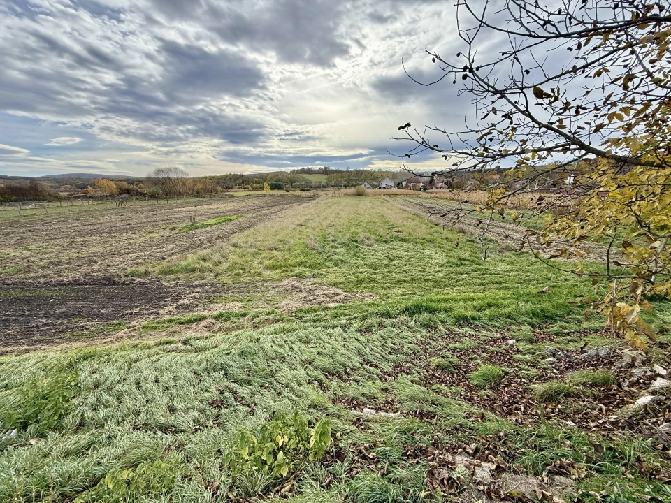 Eladó építési telek, Bakonycsernye