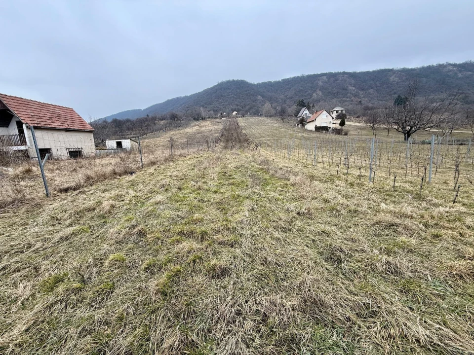 Eladó külterületi telek, Csókakő