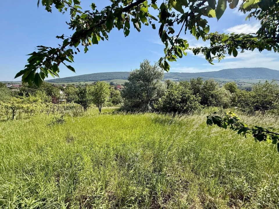 Eladó külterületi telek, Mór