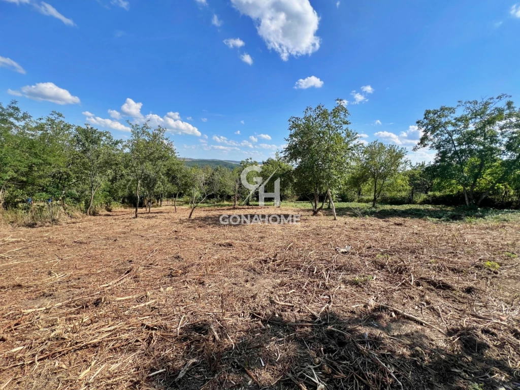 Eladó Telek, Veszprém Nefelejcs utca 8.800.000 Ft