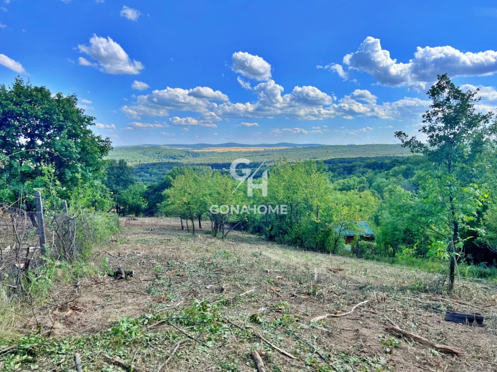 Eladó Telek, Veszprém Nefelejcs utca 8.800.000 Ft