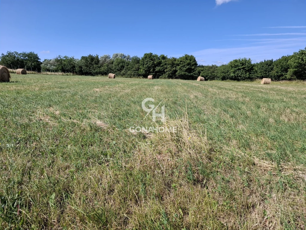 Eladó Telek, Tés 5.200.000 Ft