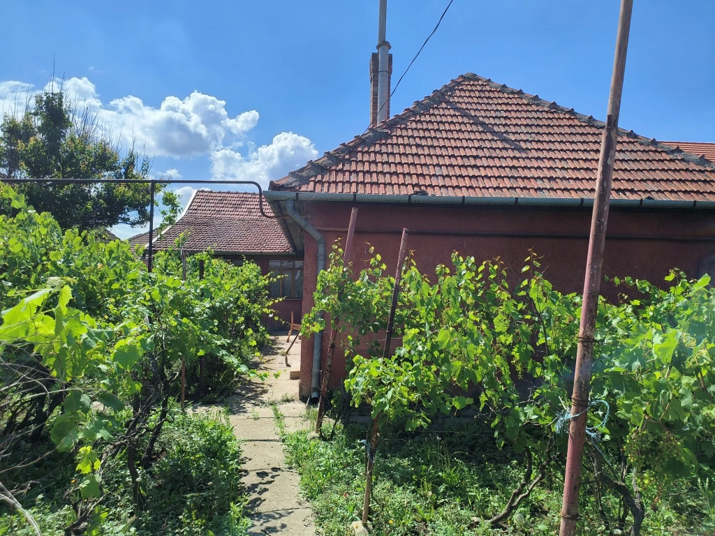 For sale house, Csongrád, Zsinór utca