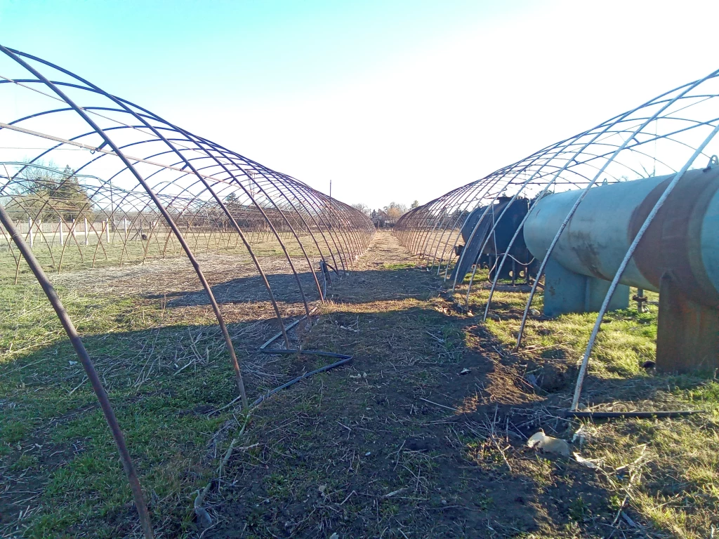 Eladó , Szentes, Nagynyomás tanya