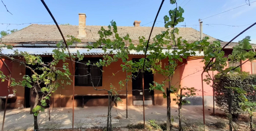 Eladó családi ház, Csongrád, Bokrospart tanya