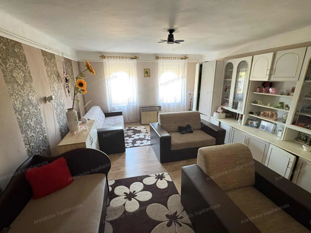 For sale house, Elek