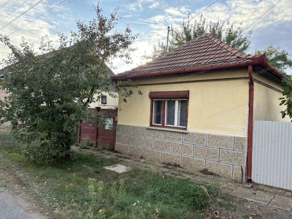 For sale house, Elek
