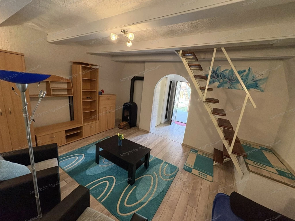 For sale holiday house, summer cottage, Gyula, Városerdő