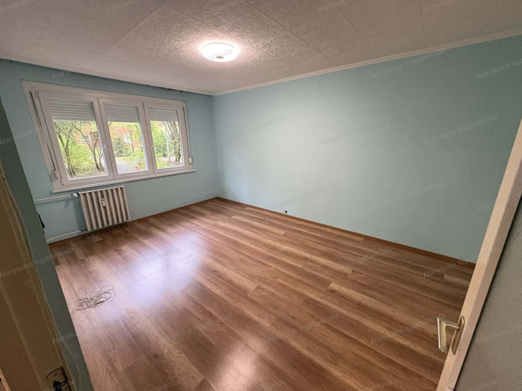 c3-1-name c2-20-name, Gyula, Paradicsom