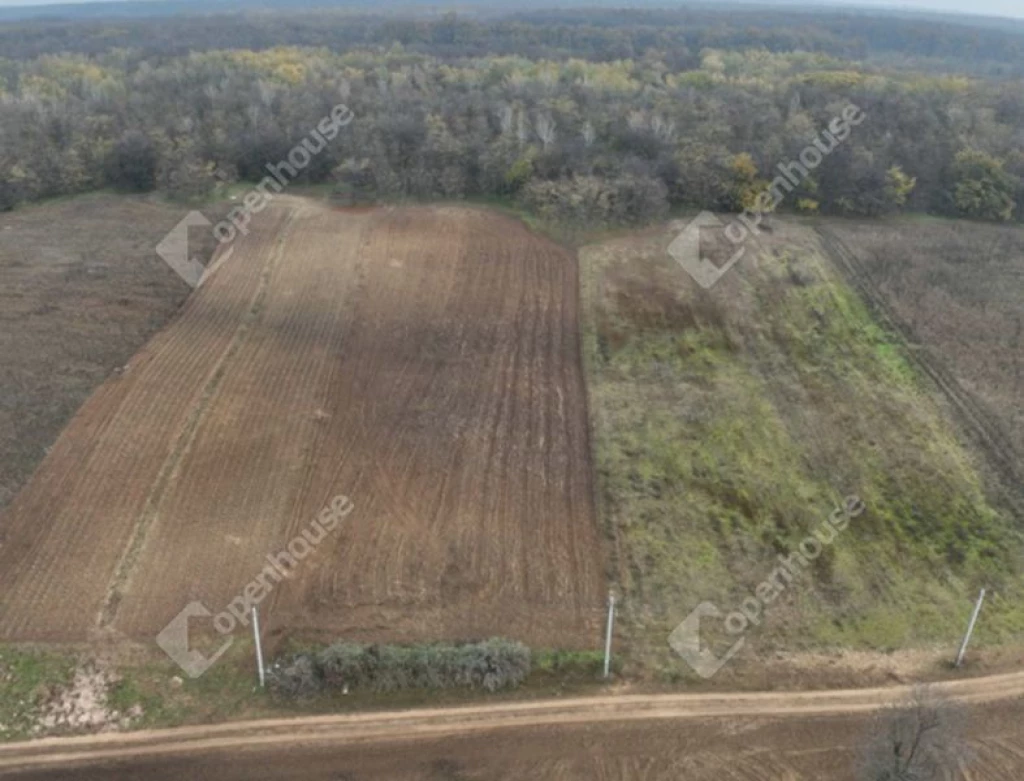 For sale plough-land, pasture, Péteri, Óhegy