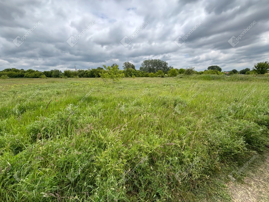 For sale other plot, Budapest XVII. kerület, Rákoshegy