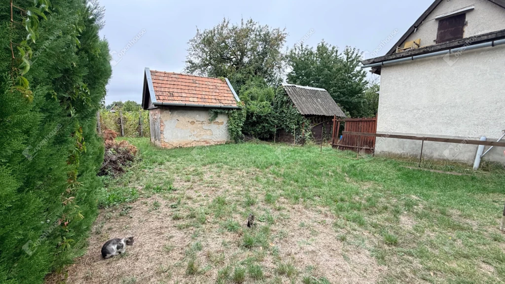 c3-1-name c2-53-name, Monor, Laposhegy