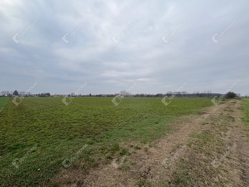 Eladó terület Csévaharaszton