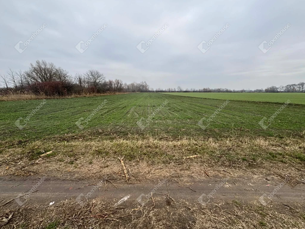 Csévharaszton eladó terület