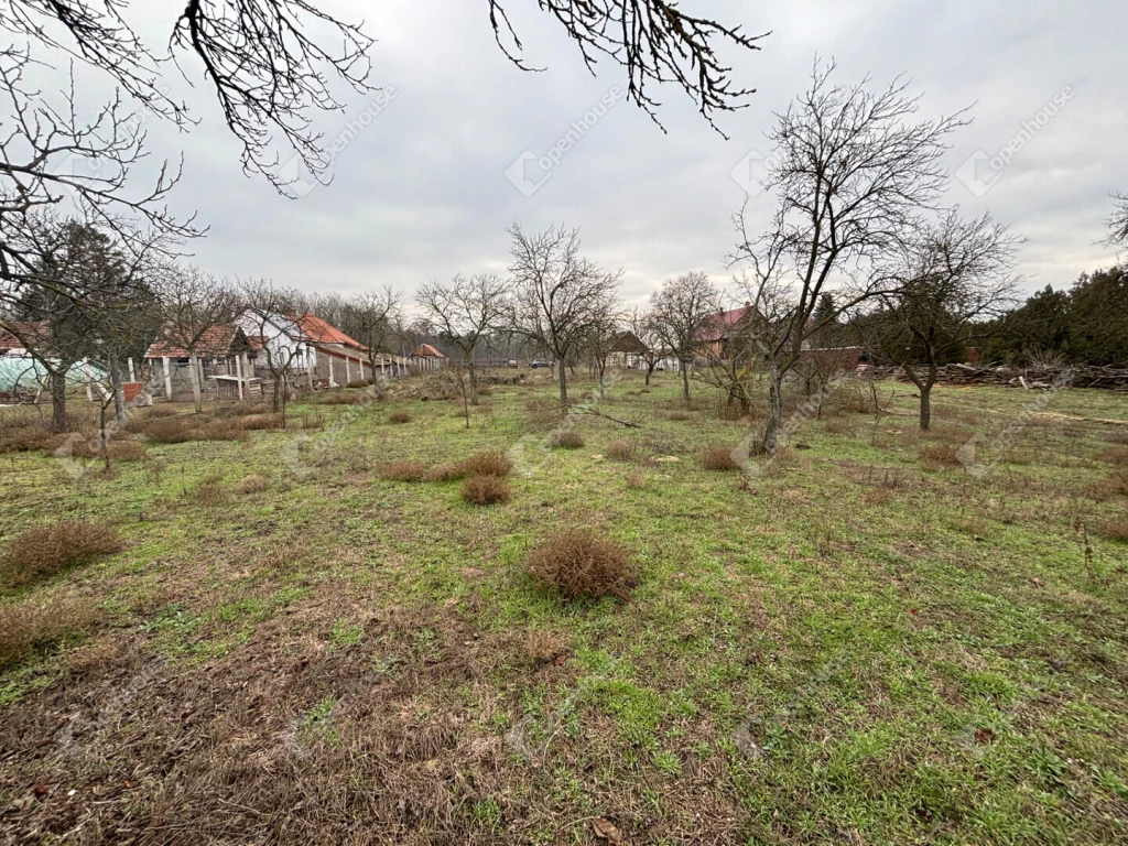 Eladó szántóföld Csévharaszton